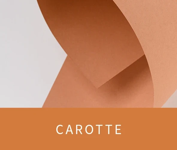 Bild der Farbe Carotte von La vie recyclée