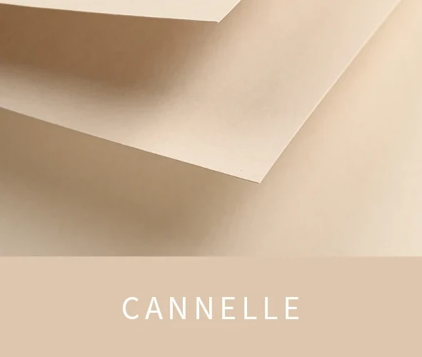 Bild der Farbe Cannelle von La vie recyclée
