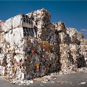Newsbild: Vom Altpapier zur Recyclingsorte